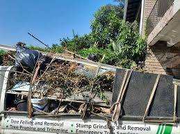 Best Commercial Junk Removal  in Skidway Lake, MI